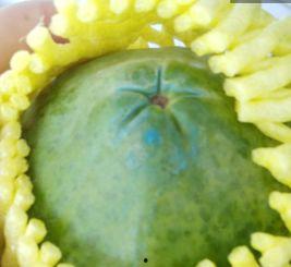 面瓜坏了吃有毒吗,揭秘有毒风险