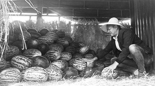 吃瓜群众敦化事件,网络舆论的风暴与反思