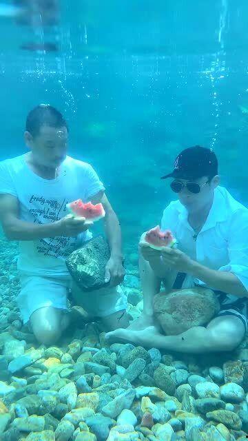 在水下吃瓜,揭秘水下吃瓜的奇妙世界