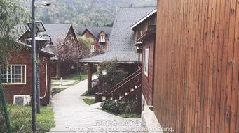 吃瓜群小木屋,一场别开生面的网络社交盛宴