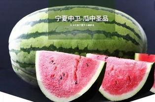 鲤鱼吃瓜大全视频,揭秘鱼儿美食新风尚